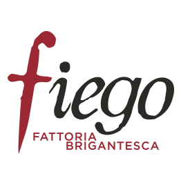 Logo_Fiego